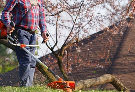 Reparaciones Carte_2